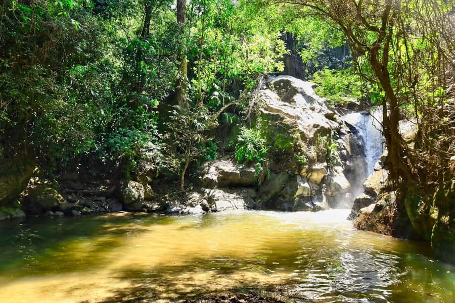 Santa Marta: Minca Coffee, Cocoa, & Waterfall Full-Day Trip - Physical demands, weather, and what to pack