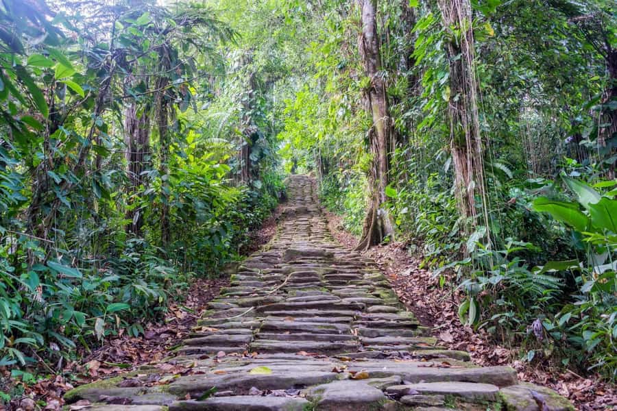 Santa Marta: Multi-Day Trek to The Lost City - Why the approach matters as much as the ruins