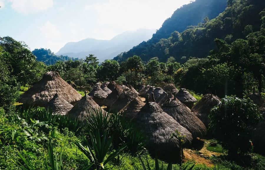 Santa Marta: Multi-Day Trek to The Lost City - Day two: rivers, Mutanyi, and the hardest sustained walking