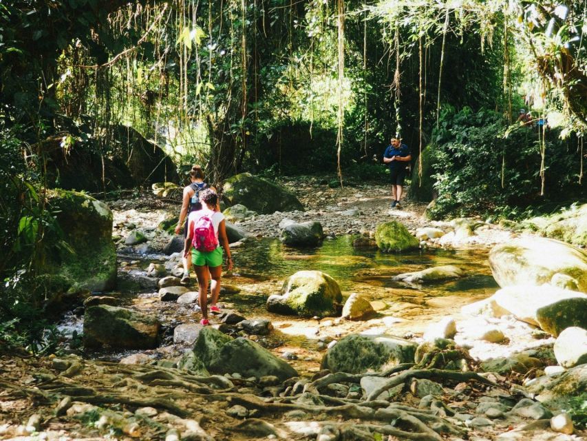 Santa Marta: Multi-Day Trek to The Lost City - The return: less famous, still demanding