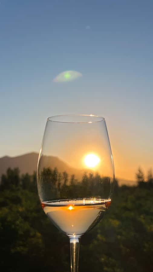 Santiago: Alyan Winery Sunset with Wine Tastings and Dinner - What the $111 price really covers