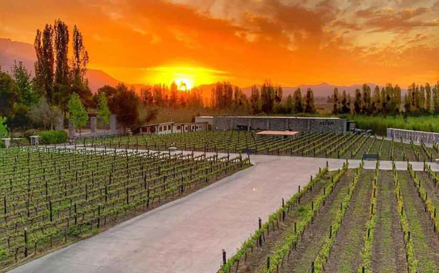 Santiago: Alyan Winery Sunset with Wine Tastings and Dinner - Should you book Alyan Sunset?