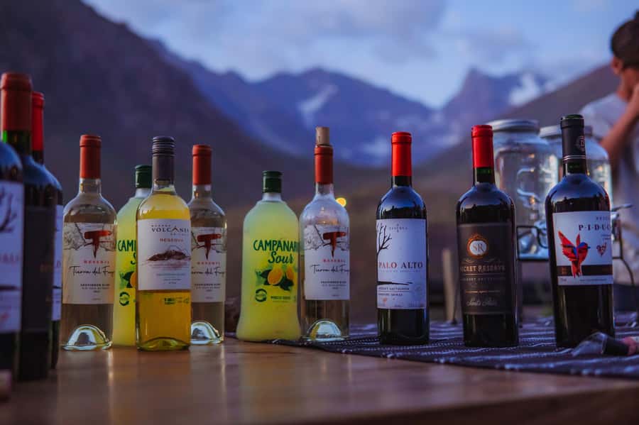 Santiago: Cajón del Maipo Hot Springs & Chilean Barbecue - A four-course Chilean barbecue by the fire