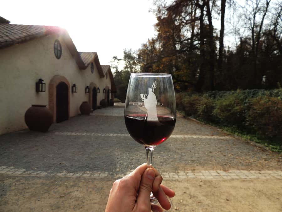 Santiago: Concha y Toro and Undurraga Vineyards Tour - What the $76 price really buys you