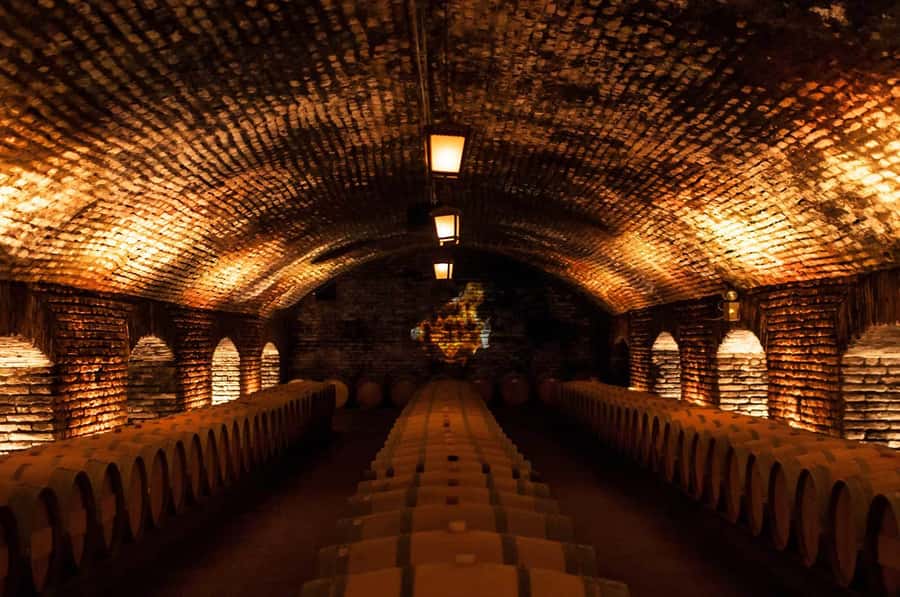 Santiago: Concha y Toro and Undurraga Vineyards Tour - The lunch break is long but not included