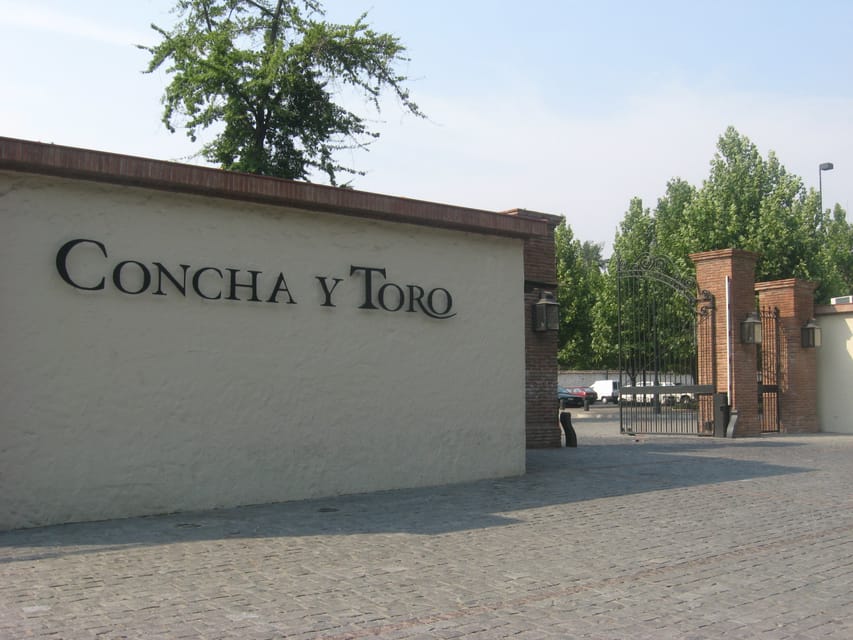 Santiago: Concha y Toro and Undurraga Vineyards Tour - What makes the two wineries worth pairing
