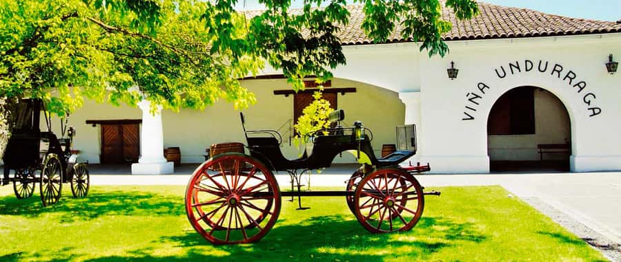 Santiago: Concha y Toro and Undurraga Vineyards Tour - Viña Undurraga and the first three tastings