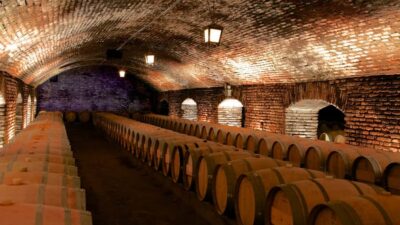 Concha y Toro Vineyard Tour w/ Transfer & Tasting