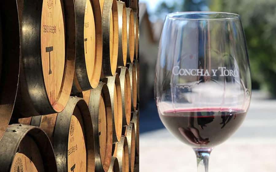 Santiago: Concha y Toro Vineyard Tour w/ Transfer & Tasting - The Casillero del Diablo cellar story
