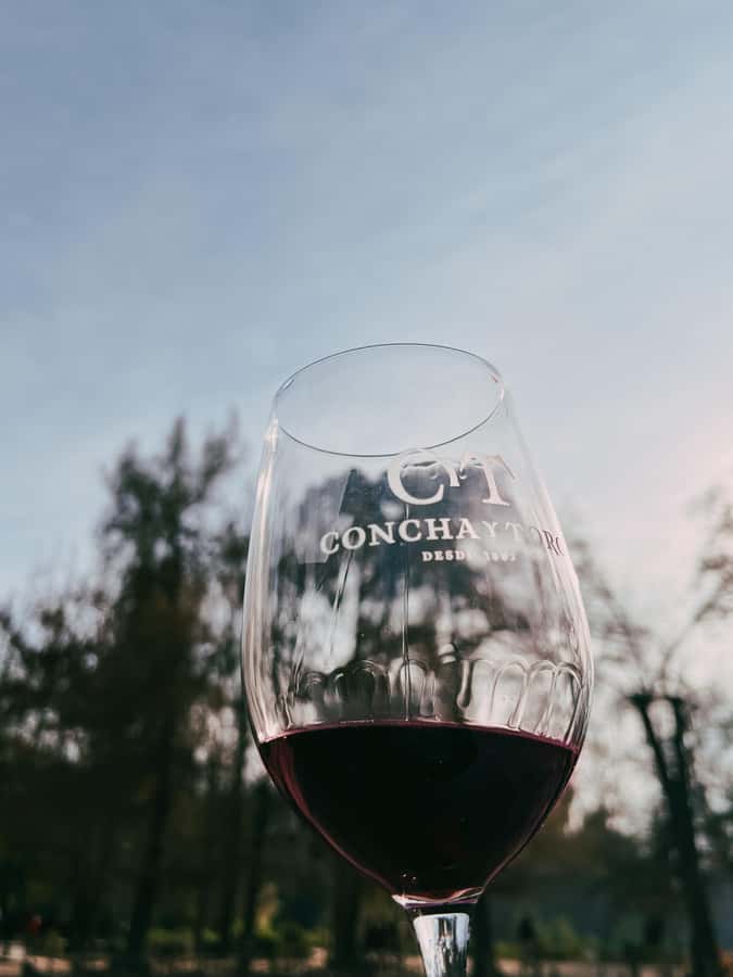 Santiago: Concha y Toro with transfer, tasting & gift cup - Learning how the grapes shape the wine