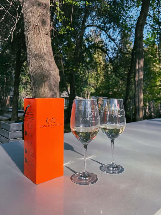 Santiago: Concha y Toro with transfer, tasting & gift cup - Three wines and a complimentary glass