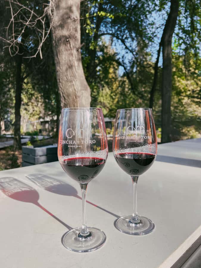 Santiago: Concha y Toro with transfer, tasting & gift cup - The wine shop and the extra 30 minutes