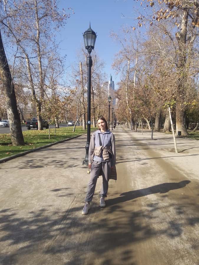 Santiago: Guided Walking Tour of the Historical Old Town - Bellavista and a useful finish at Patio Bellavista