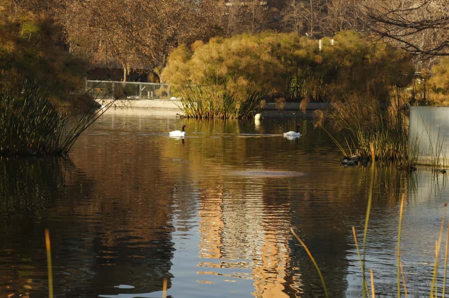 Santiago Half-Day Walking Tour with Hotel Pick up & Brunch - Paseo Ahumada and La Moneda Palace