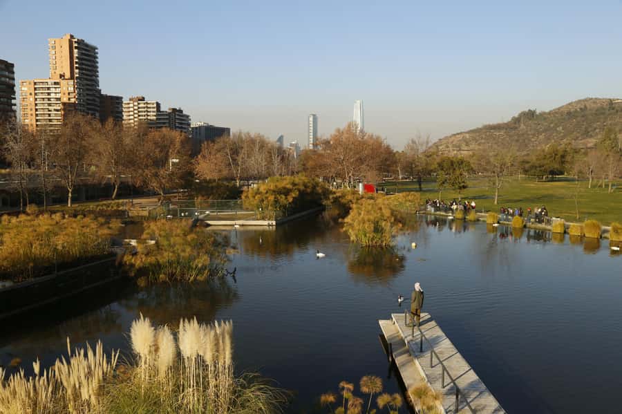 Santiago Half-Day Walking Tour with Hotel Pick up & Brunch - Fine arts, Parque Forestal, and the final route