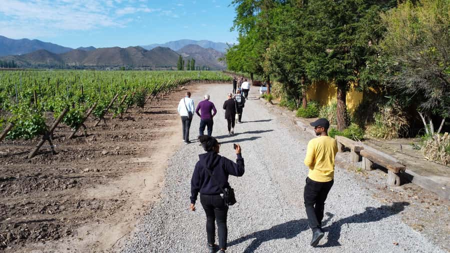 Santiago: Inca Lagoon Tour with Local Vineyard and Tasting - Portillo Ski Center and lunch