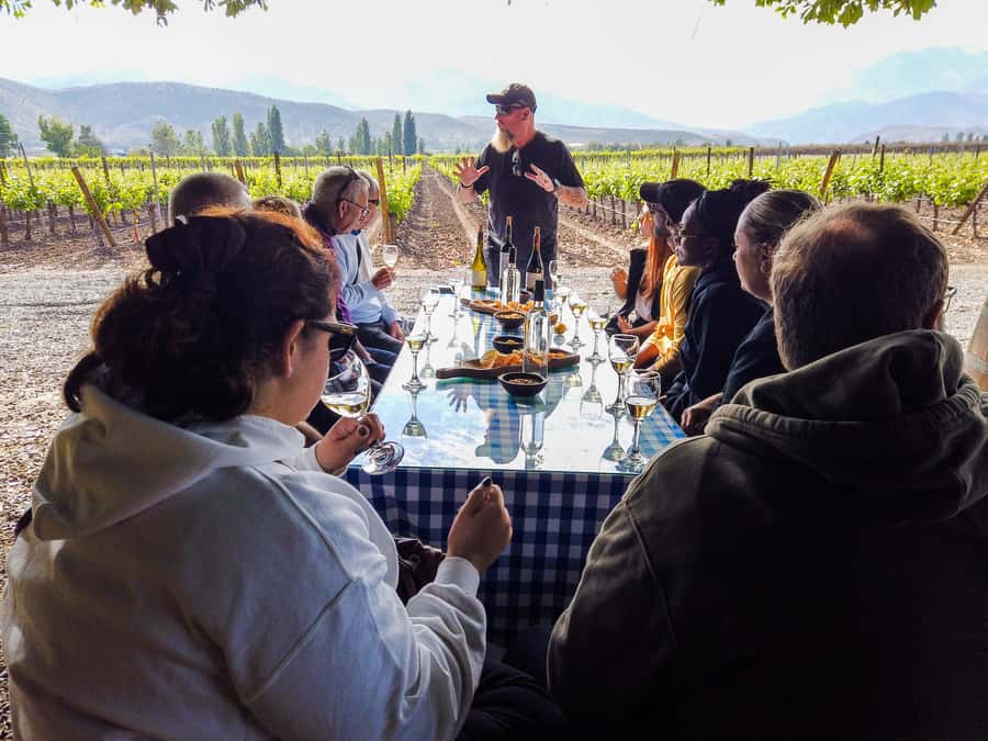 Santiago: Inca Lagoon Tour with Local Vineyard and Tasting - Paso Internacional Los Libertadores and Guardia Vieja