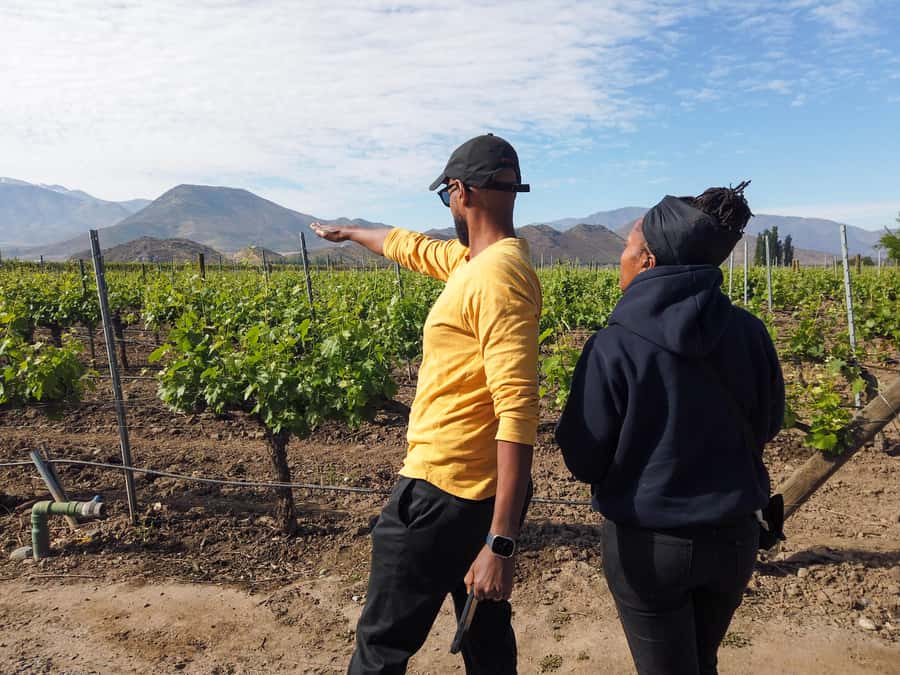 Santiago: Inca Lagoon Tour with Local Vineyard and Tasting - The llama stop on the way back