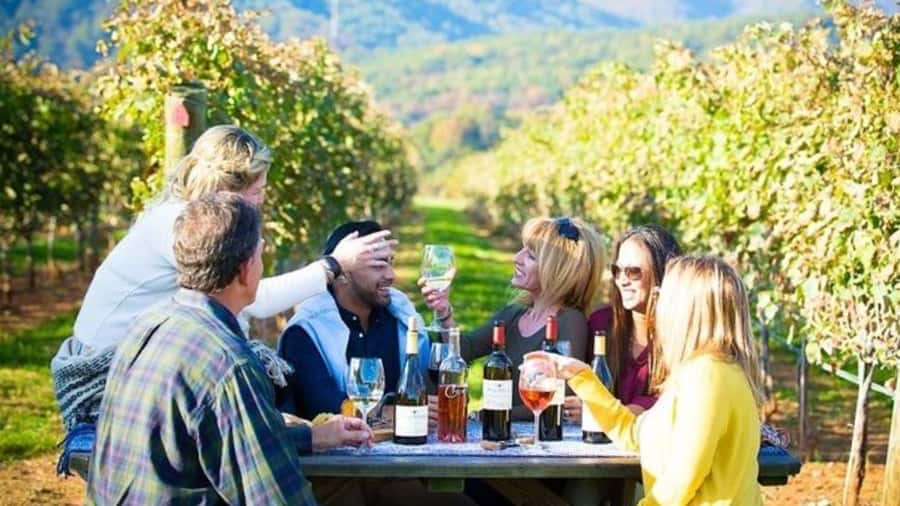 Santiago: Maipo Valley Wine Tasting Tour with 4 Vineyards - Key points to know