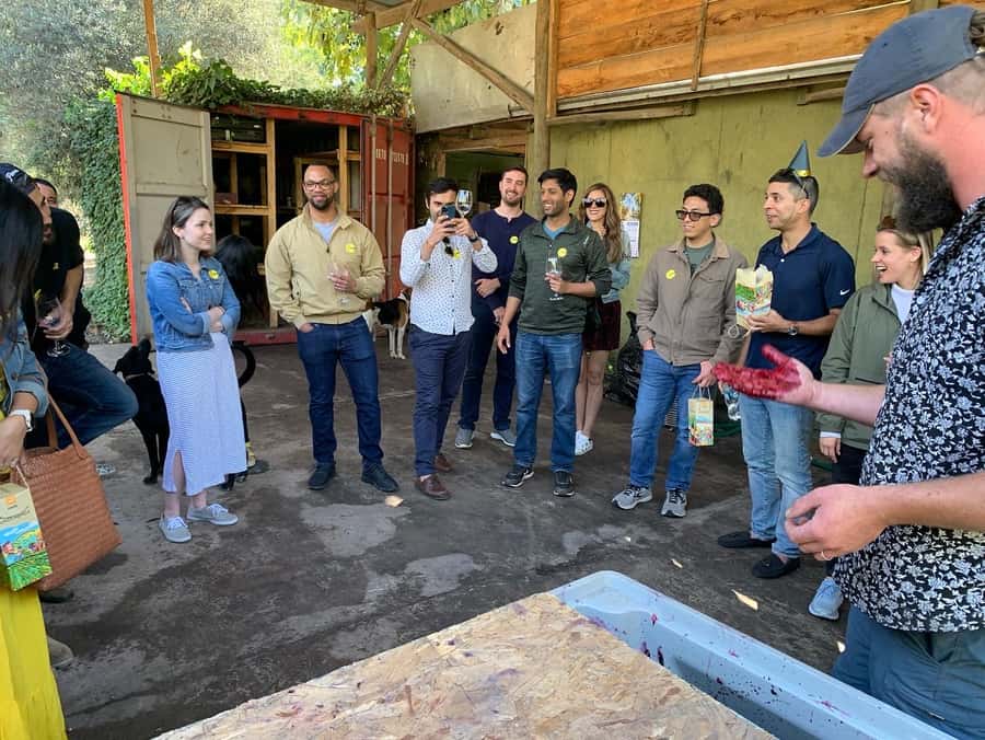 Santiago: Maipo Valley Wine Tasting Tour with 4 Vineyards - Santa Ema and the move to polished wine tourism