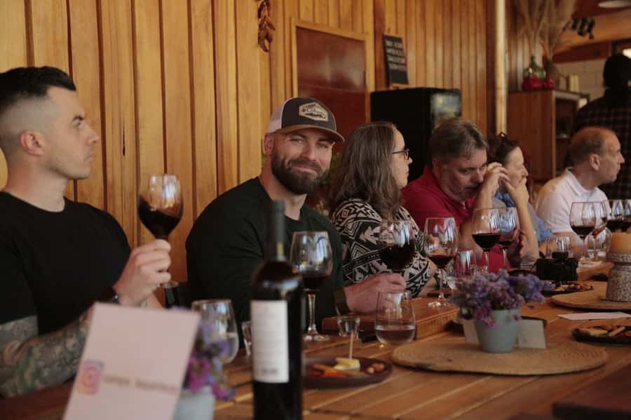 Santiago: Maipo Valley Wine Tasting Tour with 4 Vineyards - TerraMater: lunch, olive oil, and a useful pause