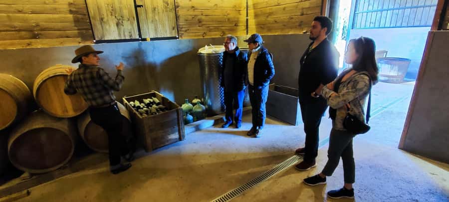 Santiago: Maipo Valley Wine Tasting Tour with 4 Vineyards - Undurraga: history, cellars, and a bigger operation