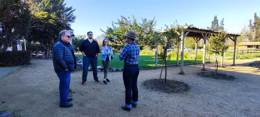 Santiago: Maipo Valley Wine Tasting Tour with 4 Vineyards - The guides make a real difference