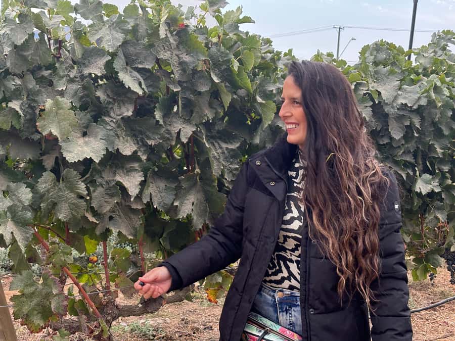 Santiago: Maipo Valley Wine Tasting Tour with 4 Vineyards - First look at the Maipo River