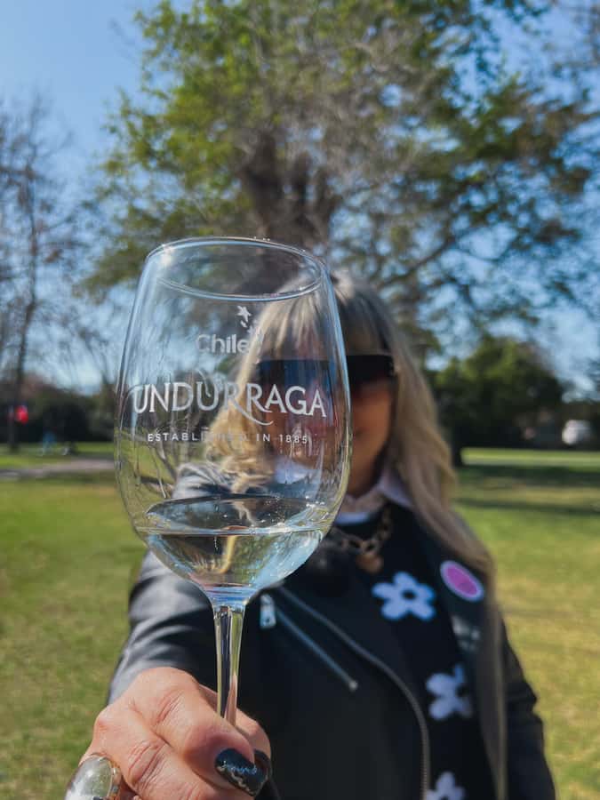 Santiago: Tour to Isla Negra, Algarrobo and Undurraga Wines - Three Chilean highlights in one 7-hour day