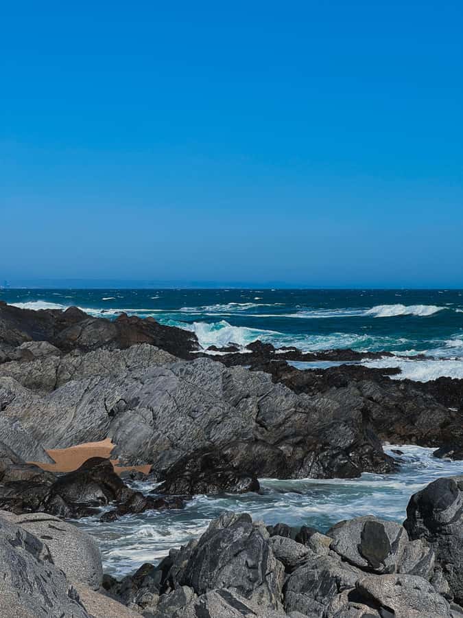 Santiago: Tour to Isla Negra, Algarrobo and Undurraga Wines - Guides, drivers, and the feel of the journey