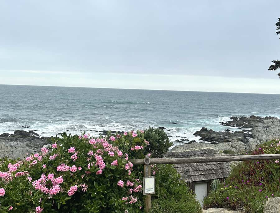 Santiago: Tour to Isla Negra, Algarrobo and Undurraga Wines - Who will get the most from this excursion?