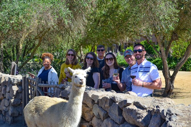 Santiago: Viña del Mar, Valparaiso & Casablanca Valley Tour - Casablanca Valley and a short wine tasting
