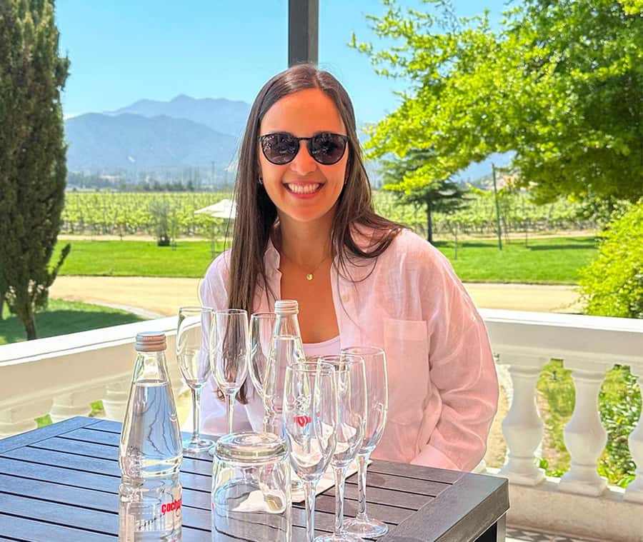 Santiago: World-class Wines, Visit to 4 Vineyards and Tanino - Key points to know before you book