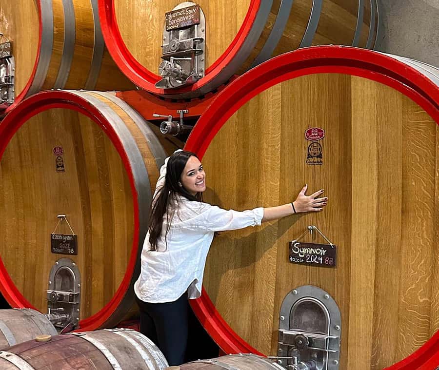 Santiago: World-class Wines, Visit to 4 Vineyards and Tanino - Why this Casablanca Valley day trip works