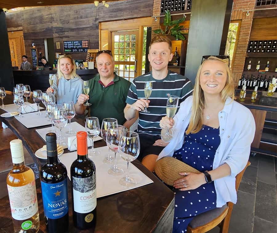 Santiago: World-class Wines, Visit to 4 Vineyards and Tanino - Bodegas RE, the most unconventional stop