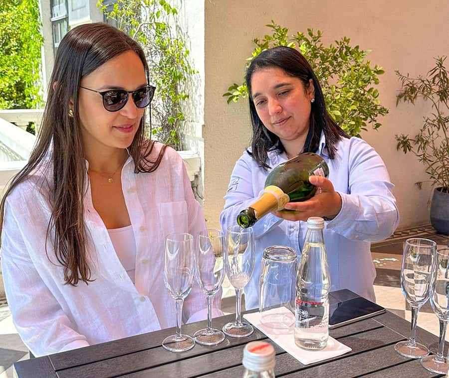 Santiago: World-class Wines, Visit to 4 Vineyards and Tanino - Transport, group size, and comfort