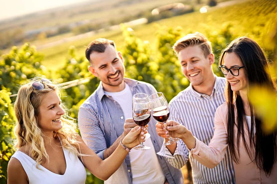 Santiago: World-class Wines, Visit to 4 Vineyards and Tanino - From Santiago through Curacaví