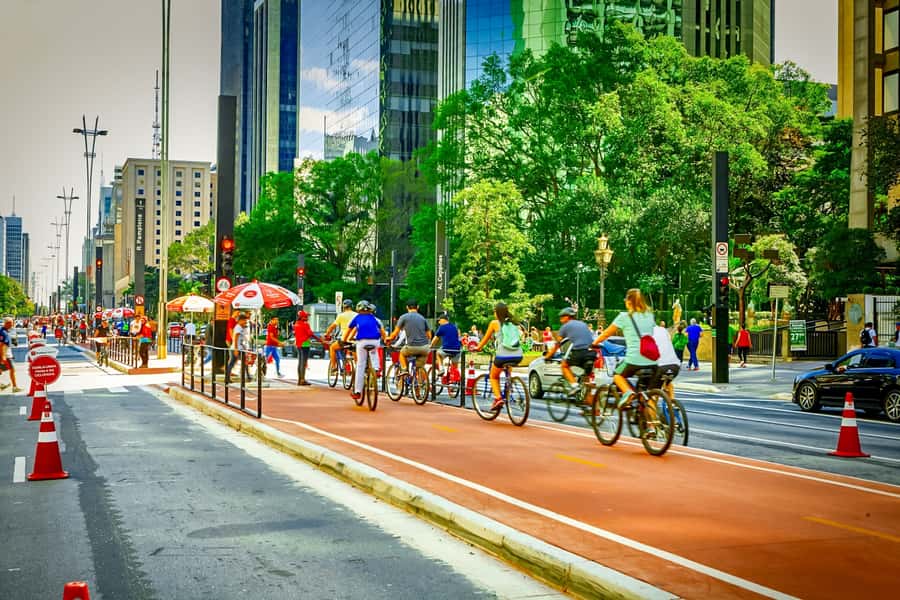 São Paulo City: 5-Hour Private Tour - Liberdade and the city’s immigrant story