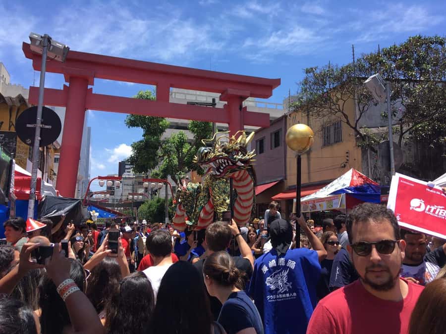 São Paulo: City Highlights Guided Tour - Ibirapuera Park and the MAC rooftop