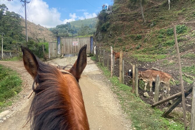 Scenic Horseback Riding in the Medellín Mountains - What the guides add to the ride