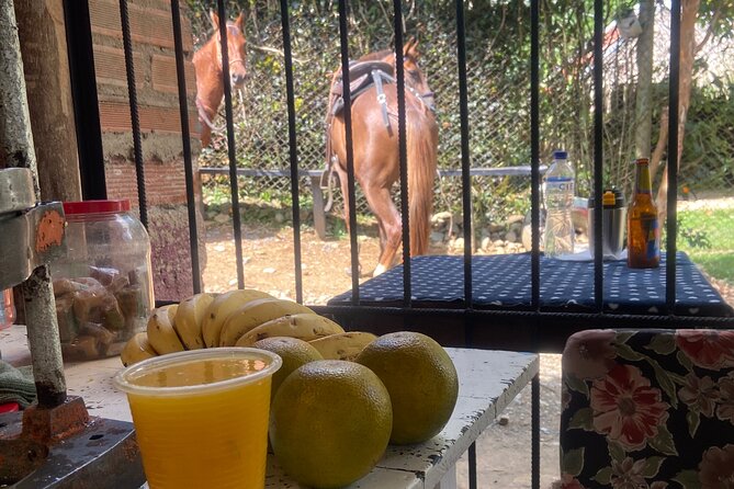 Scenic Horseback Riding in the Medellín Mountains - What to wear and how to prepare