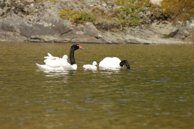Shore Excursion - National Park Tierra del Fuego - Guides can make or break the ride