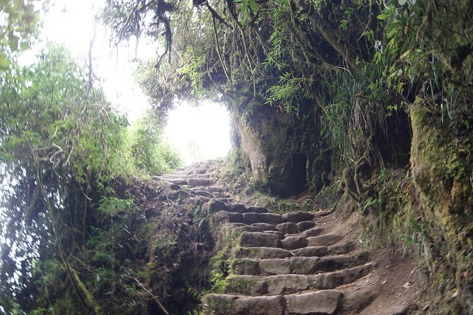 Short Inca trail to MachuPicchu || 2days - 1nigth || - Booking questions worth asking first