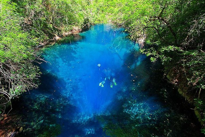 Skip the Line: Lagoa Misteriosa Admission Ticket with Scuba Diving Experience - What makes Lagoa Misteriosa so unusual