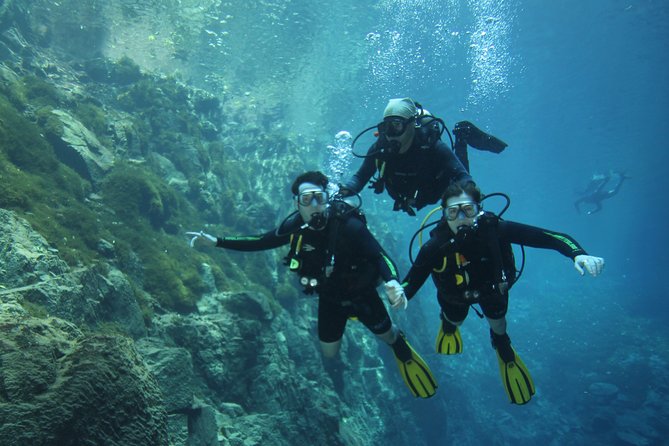 Skip the Line: Lagoa Misteriosa Admission Ticket with Scuba Diving Experience - Is the $127.53 price fair?