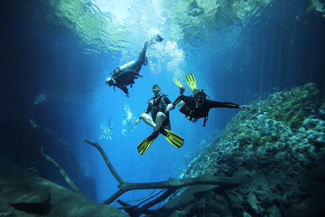 Skip the Line: Lagoa Misteriosa Admission Ticket with Scuba Diving Experience - The route from forest to water
