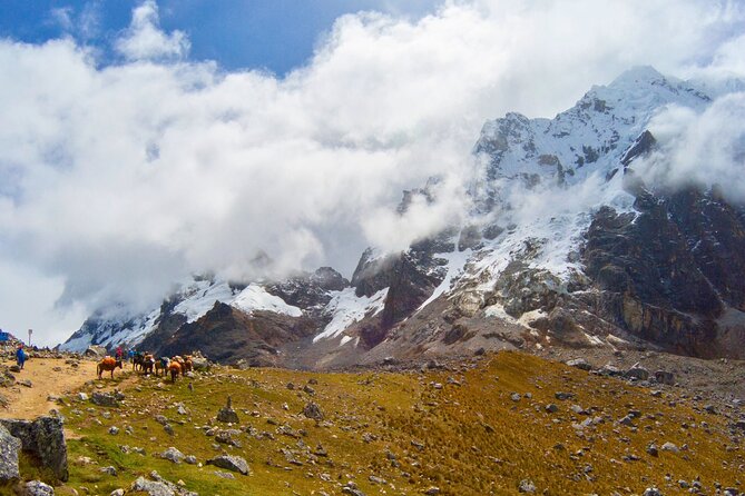 Small Group 5 Days Salkantay and Machu Picchu by Llactapata Tour - Day five, Machu Picchu before the crowds build