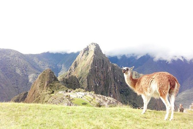Small-Group Day Tour to Machu Picchu - Why this day trip works from Cusco