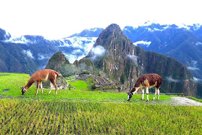 Small-Group Day Tour to Machu Picchu - The Expedition train along the Urubamba River