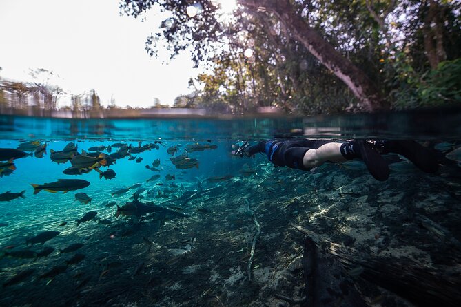 Snorkel in the Sucuri River - The 1,300-meter boat ride to Fazenda São Geraldo